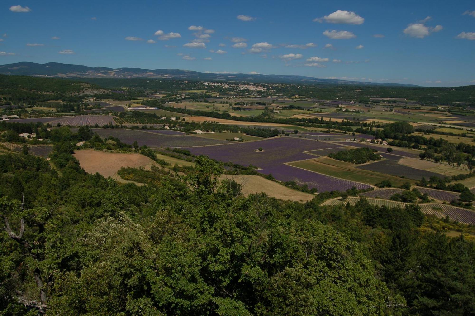 Le Gite De Lolivier En Provence Aramon Exterior photo