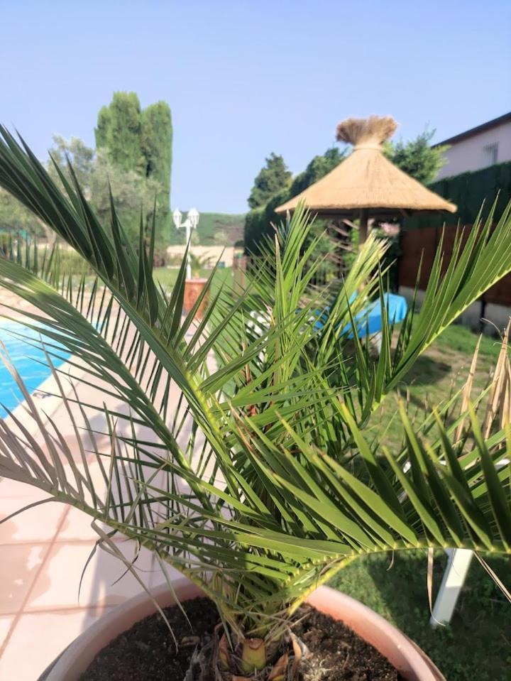 Le Gite De Lolivier En Provence Aramon Exterior photo