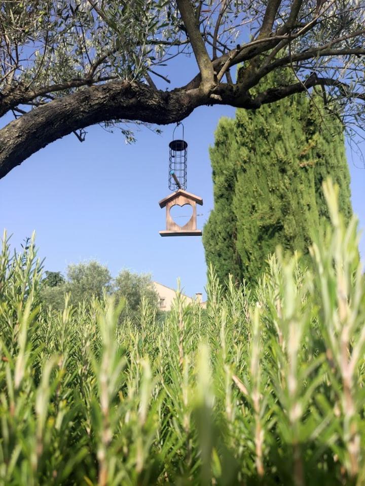 Le Gite De Lolivier En Provence Aramon Exterior photo