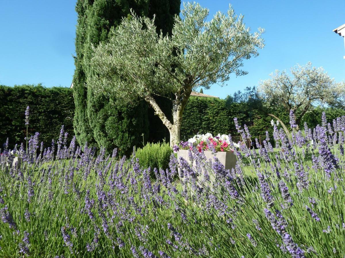 Le Gite De Lolivier En Provence Aramon Exterior photo